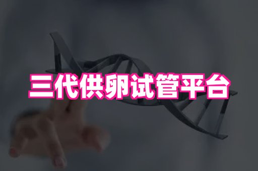 幸孕 4
